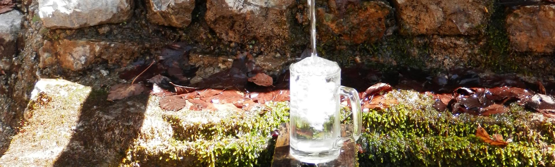 VODA V USTAVI, VODA V ZAVESTI